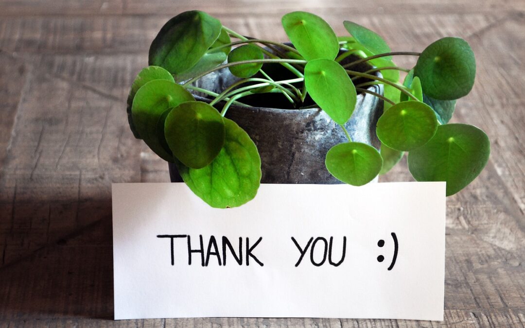 Thank you very much!